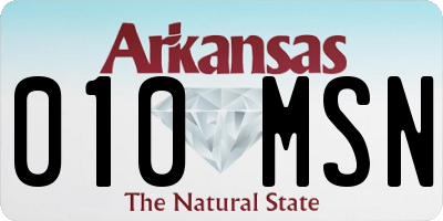 AR license plate 010MSN