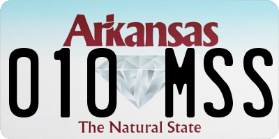 AR license plate 010MSS
