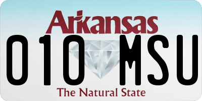 AR license plate 010MSU