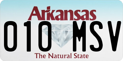 AR license plate 010MSV