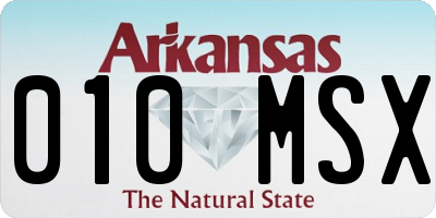 AR license plate 010MSX