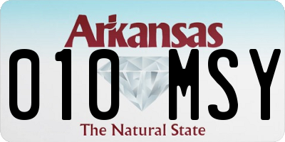 AR license plate 010MSY