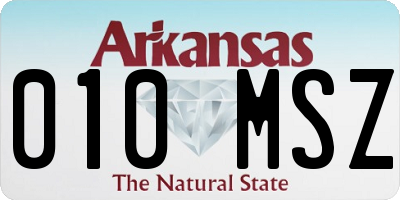 AR license plate 010MSZ