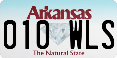 AR license plate 010WLS