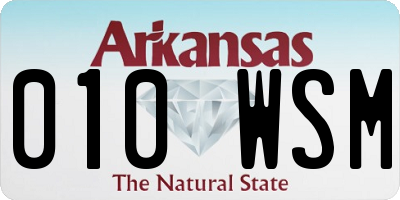 AR license plate 010WSM