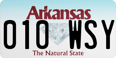 AR license plate 010WSY