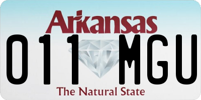 AR license plate 011MGU