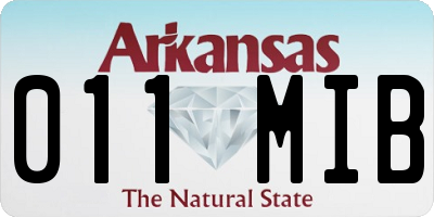 AR license plate 011MIB