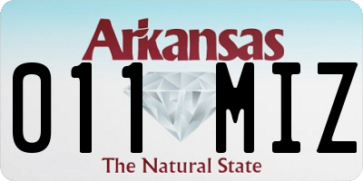 AR license plate 011MIZ