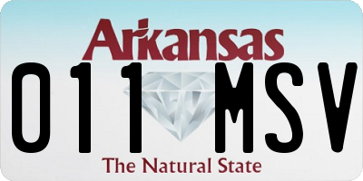 AR license plate 011MSV