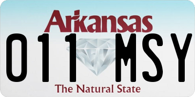 AR license plate 011MSY