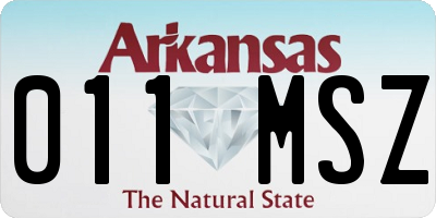 AR license plate 011MSZ