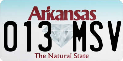 AR license plate 013MSV