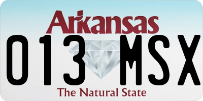 AR license plate 013MSX