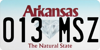 AR license plate 013MSZ