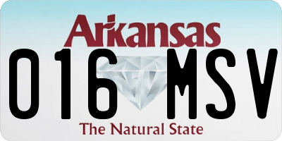 AR license plate 016MSV