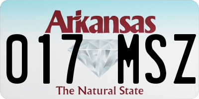 AR license plate 017MSZ