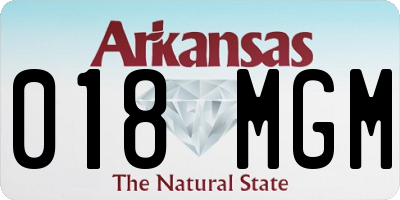 AR license plate 018MGM