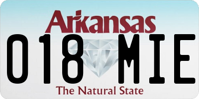 AR license plate 018MIE
