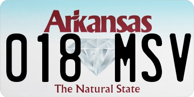 AR license plate 018MSV