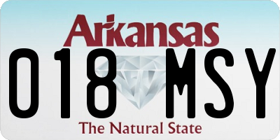 AR license plate 018MSY