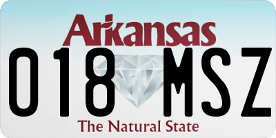 AR license plate 018MSZ