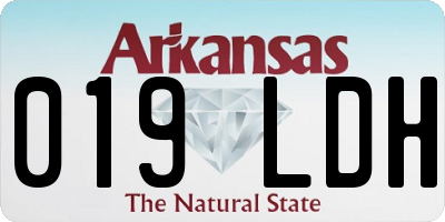 AR license plate 019LDH