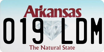 AR license plate 019LDM