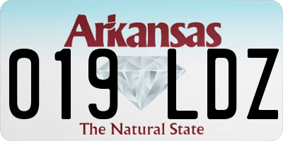 AR license plate 019LDZ