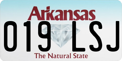 AR license plate 019LSJ