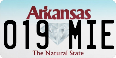 AR license plate 019MIE