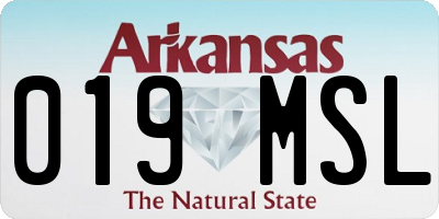 AR license plate 019MSL