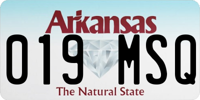 AR license plate 019MSQ