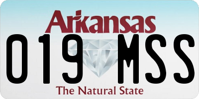 AR license plate 019MSS