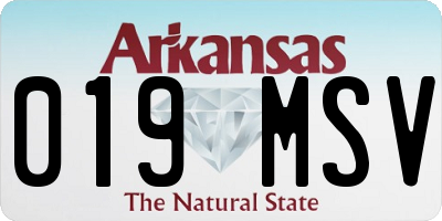 AR license plate 019MSV