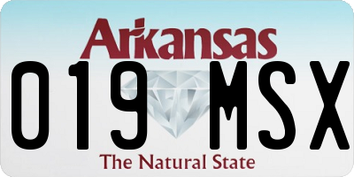 AR license plate 019MSX
