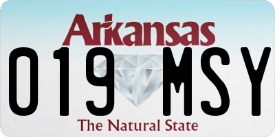 AR license plate 019MSY