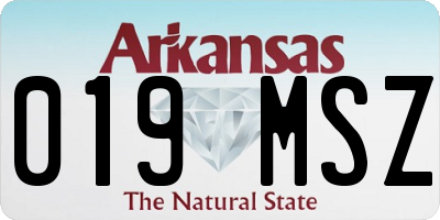 AR license plate 019MSZ