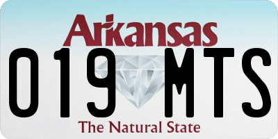 AR license plate 019MTS