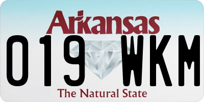 AR license plate 019WKM
