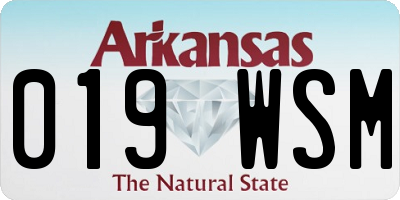 AR license plate 019WSM