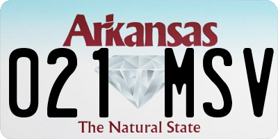 AR license plate 021MSV