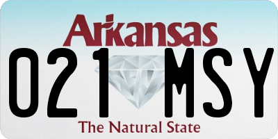 AR license plate 021MSY