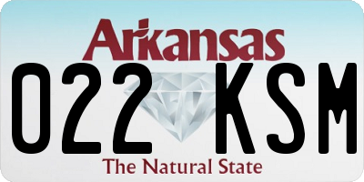 AR license plate 022KSM