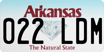 AR license plate 022LDM