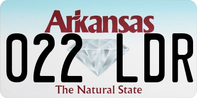AR license plate 022LDR