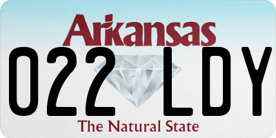 AR license plate 022LDY