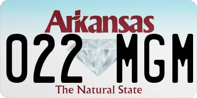 AR license plate 022MGM
