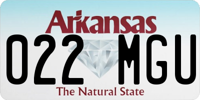 AR license plate 022MGU