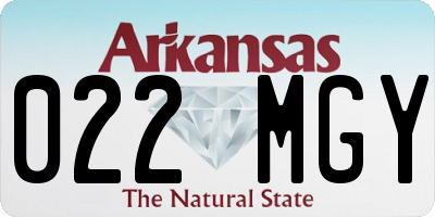 AR license plate 022MGY